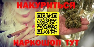 индика Новозыбков