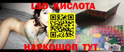 индика Новозыбков