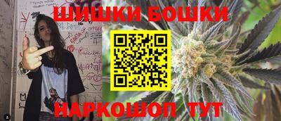 индика Новозыбков