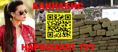 индика Новозыбков