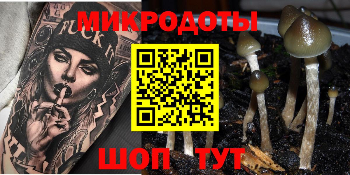 Псилоцибиновые грибы ЛСД  Вход с VPN  Сухой Лог 
