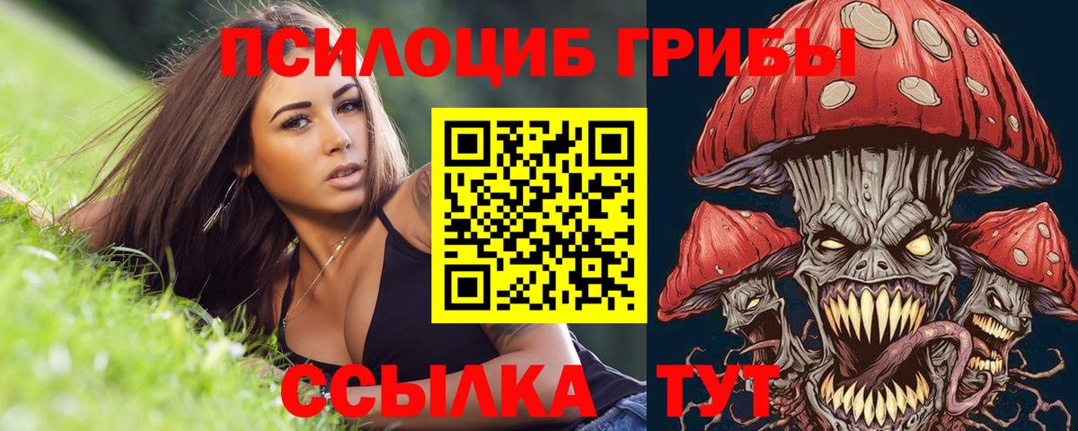 Псилоцибиновые грибы MAGIC MUSHROOMS Сухой Лог